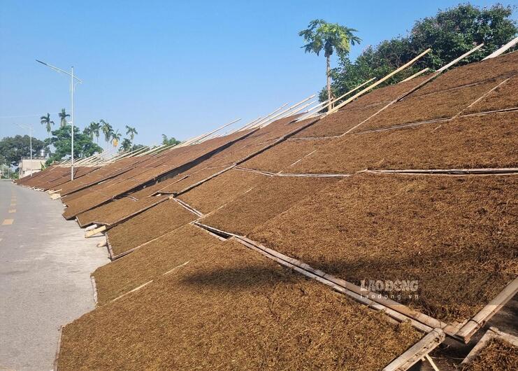 Ảnh quy trình số 5